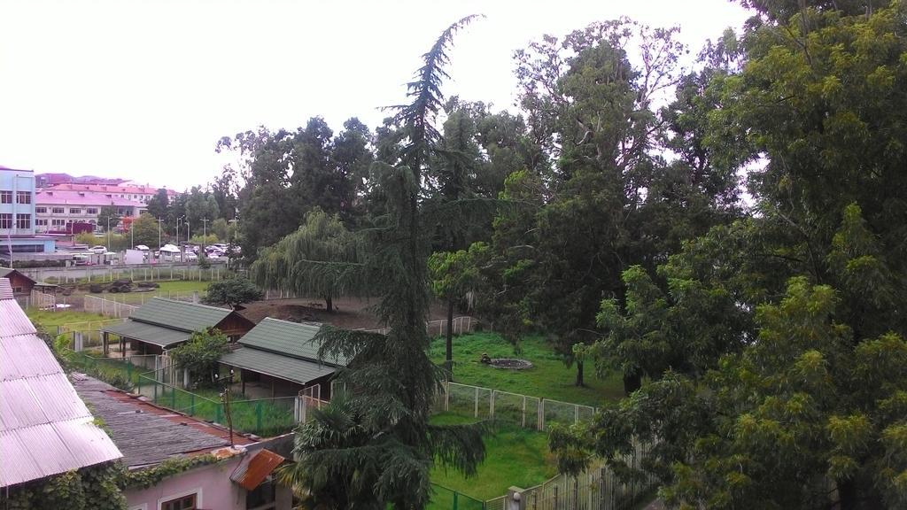 Apartament Gia Batoemi Buitenkant foto